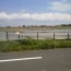 武蔵野線・三郷駅　残したい風景がある江戸川河川敷周辺