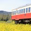 ノスタルジックな一両列車「小湊鐡道」でぶらりローカル線の旅をしてみませんか
